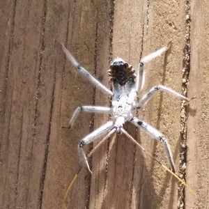 Meet your Posher, Corey